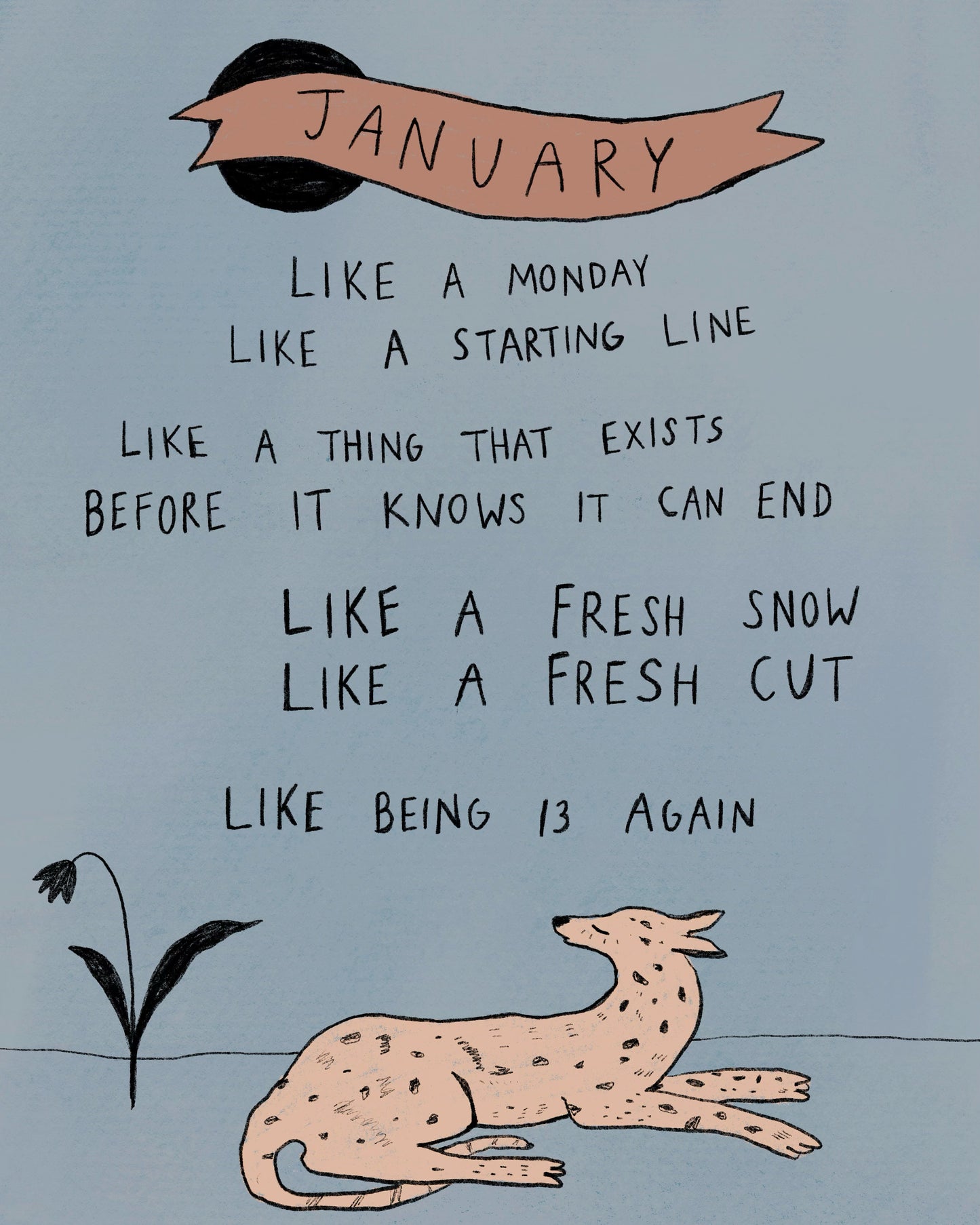 january 2025