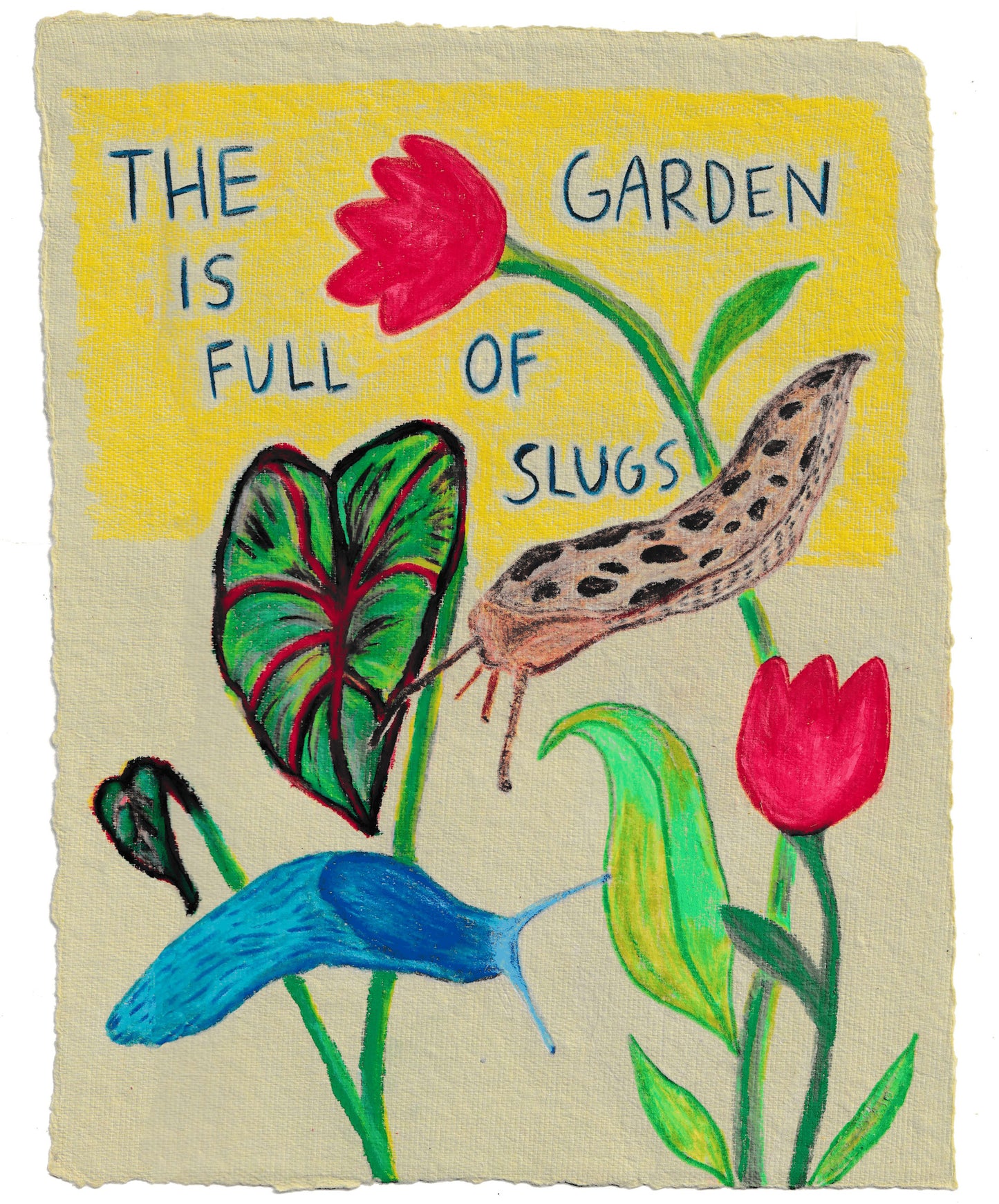 garden full of slugs