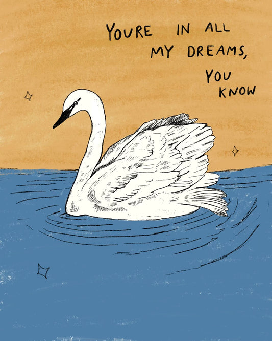swan dreams