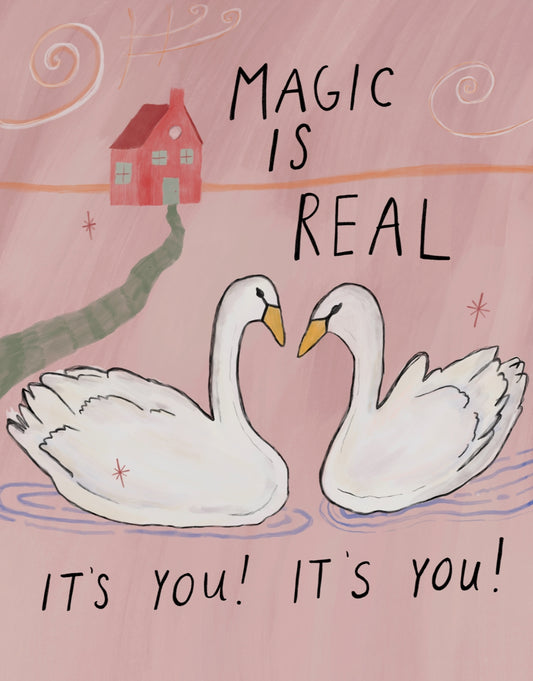 magic swans