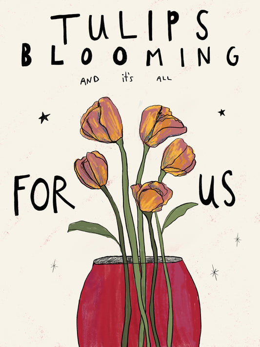 tulips blooming